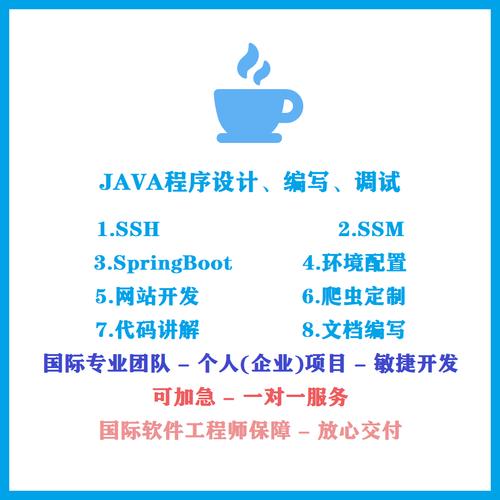 java程序代写web软件jsp开发设计代做spring代码讲解程序bug调试